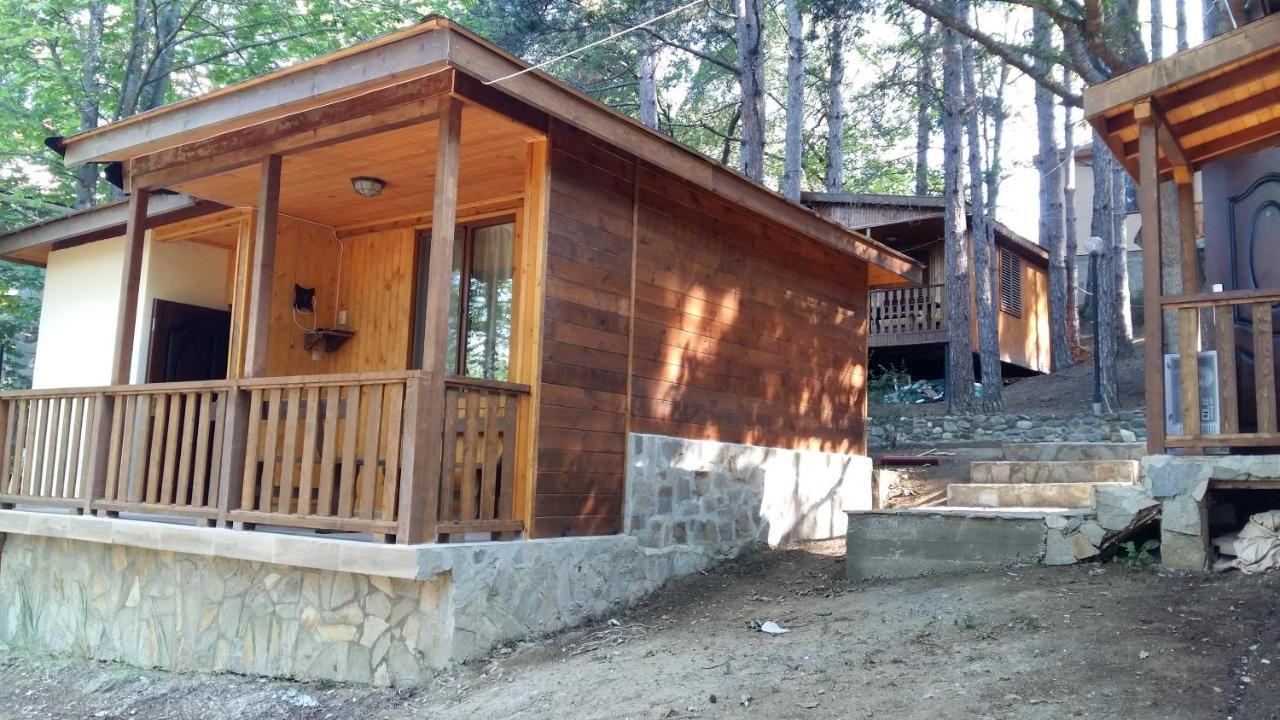 К-Г Луна К-С Лонгоза Комплекс Лонгоза Byala  Exterior photo