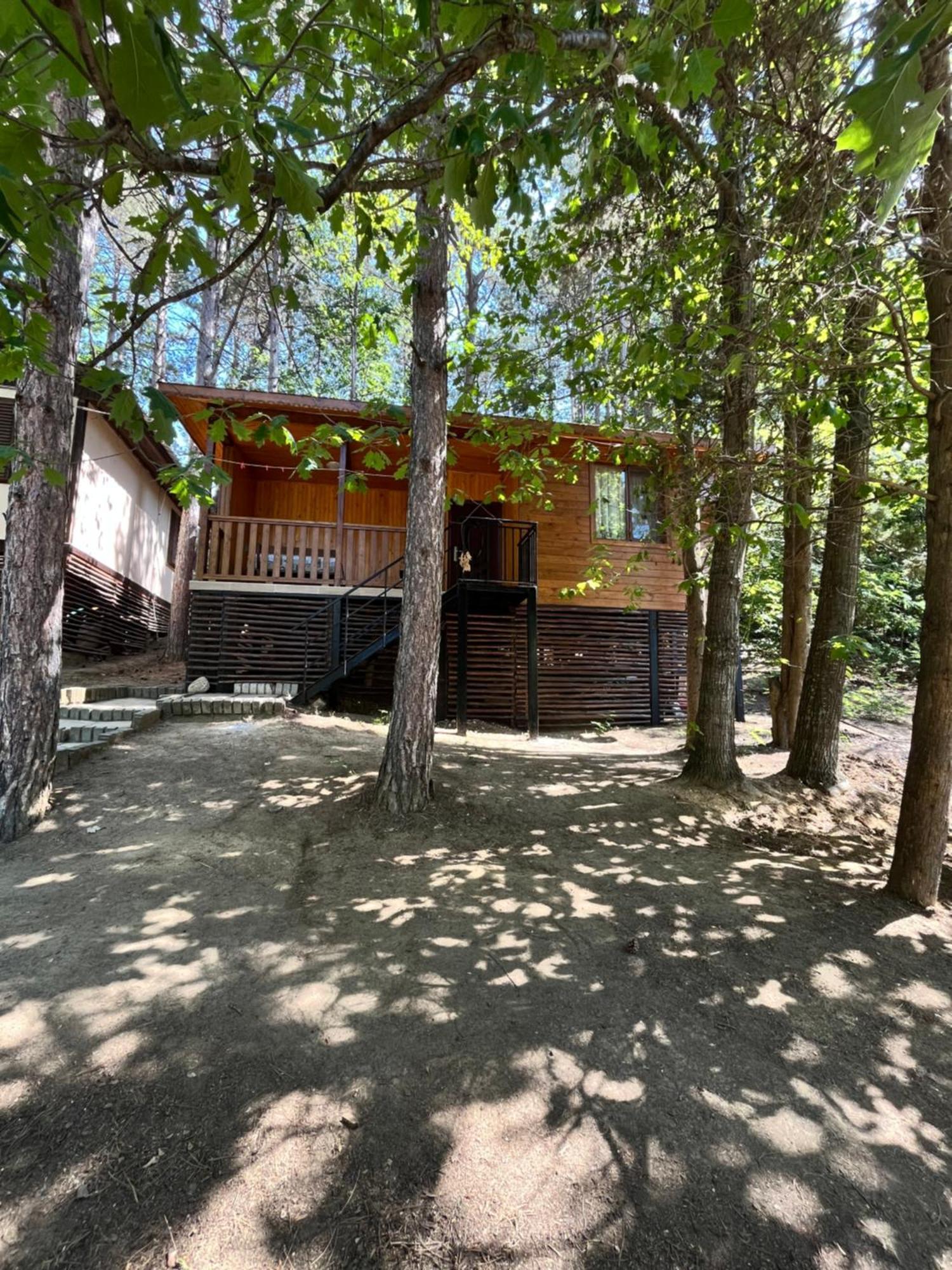 К-Г Луна К-С Лонгоза Комплекс Лонгоза Byala  Exterior photo